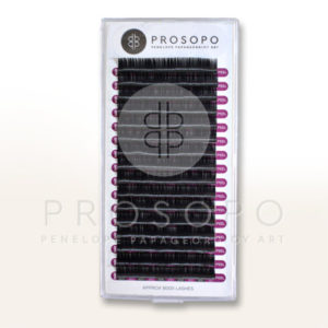 Extensions "PROSOPO"